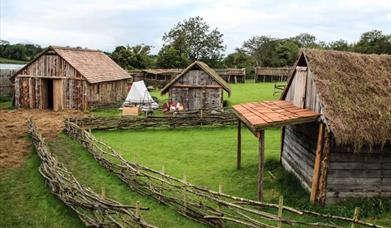 The Ballydugan Medieval Settlement