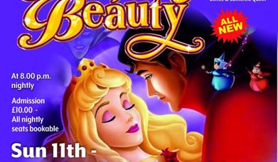 Sleeping Beauty performed by Warrenpoint Panto Club, In Warrenpoint Town Hall.