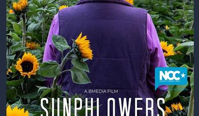 Sunphlowers