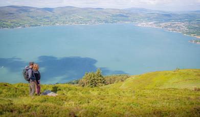 The Fallows Trail - view across Carlingford Lough from Rostrevor