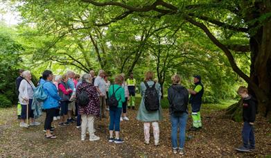 Tour Castlewellan Historic Demesne
