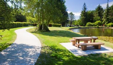 Picnic benches and walking trails at Silent Valley Mountain Park, Kilkeel