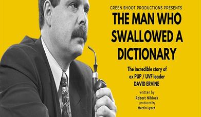 David Irvine, Down Arts Centre