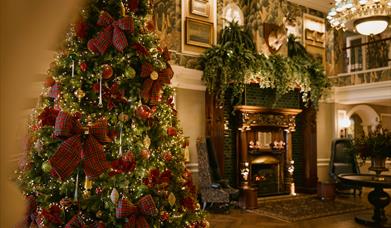 Image of Christmas Tree beside fireplace in Slieve Donard Hotel
