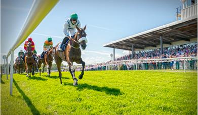 Downpatrick Racecourse Fixtures