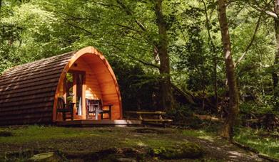 Castle Ward Glamping Pod