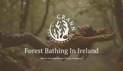 Forest Bathing in Castlewellan Forest Park