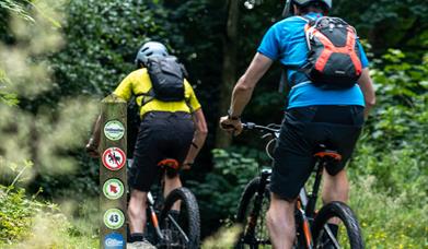 Electric Mountain Biking Castlewellan Mountain Bike Trails