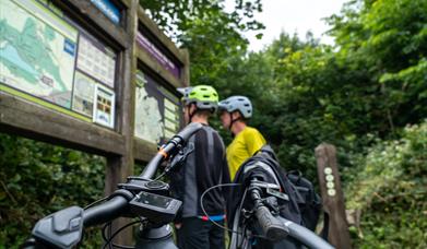 Mountain Biking Castlewellan MTB Trails