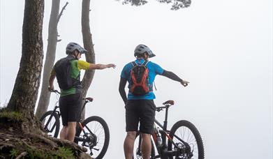 Electric Mountain Biking Rostrevor Mountain Bike Trails