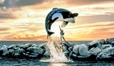 Free Willy