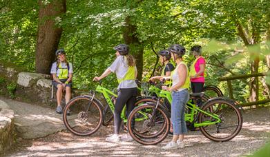 Tollymore Forest E-Bike Tour