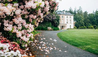 Montalto Estate Trails and Gardens