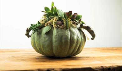 Pumpkin Succulent Planters
