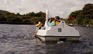 family on swan pedlos