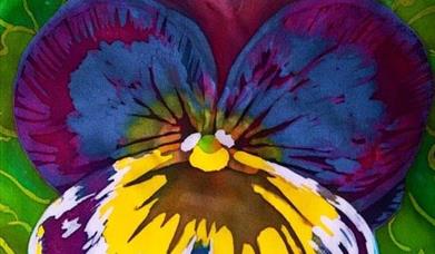 image of a purple and yellow flower