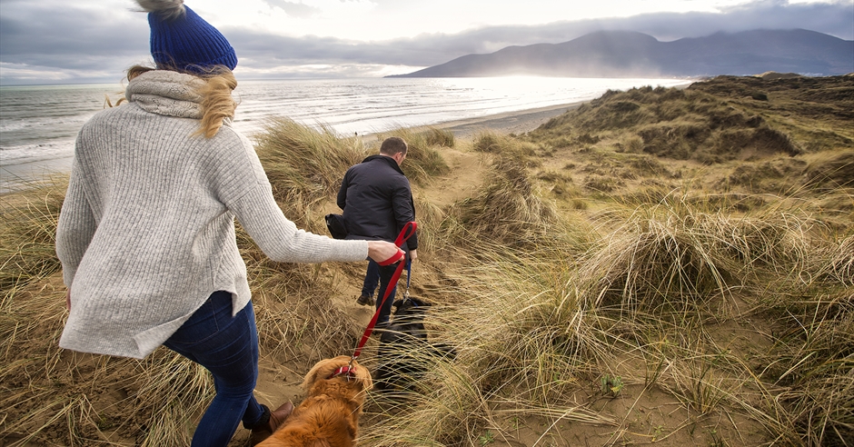 Dog Friendly Walks - Visit Mourne Mountains