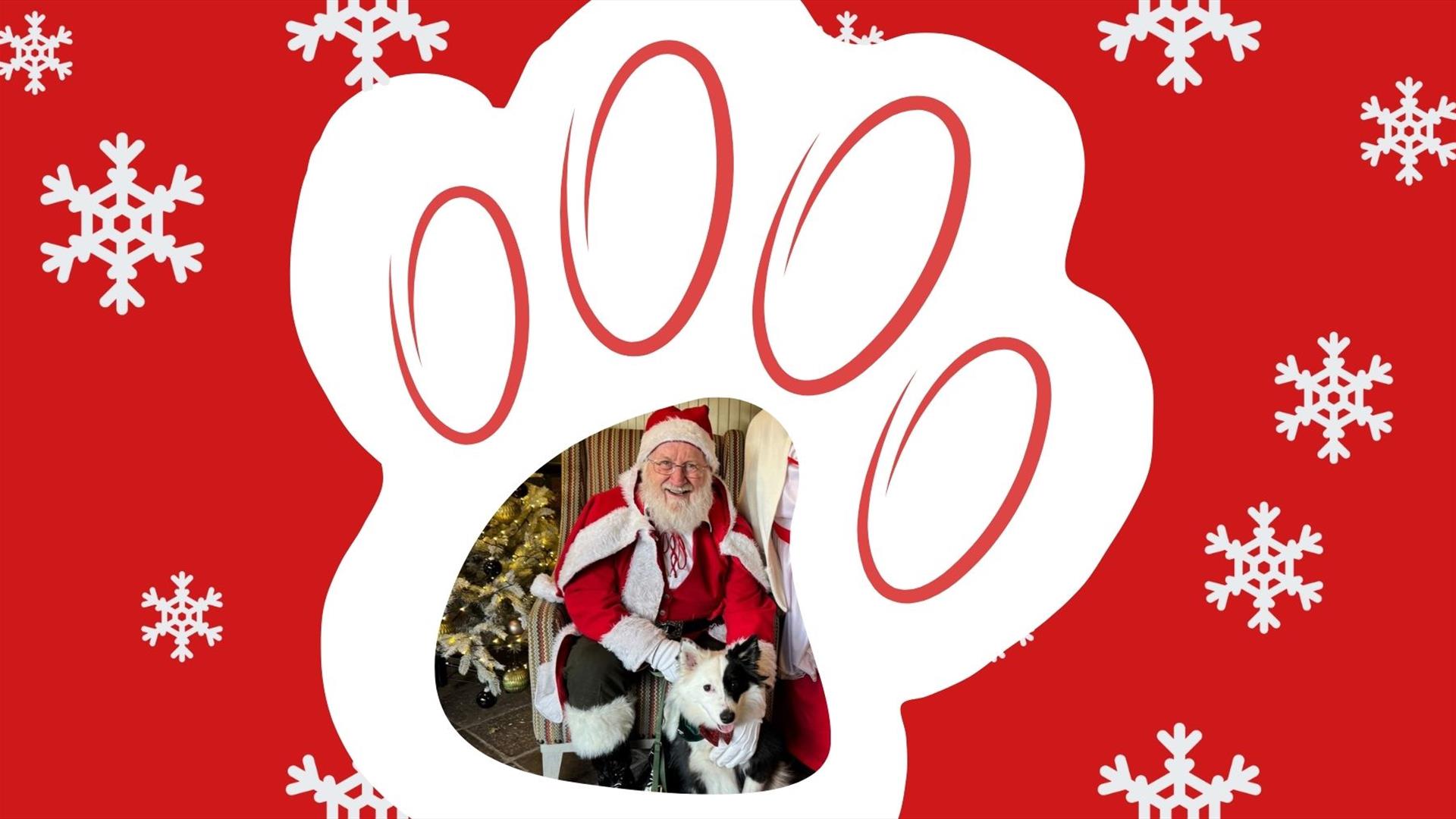 Santa Paws at Montalto