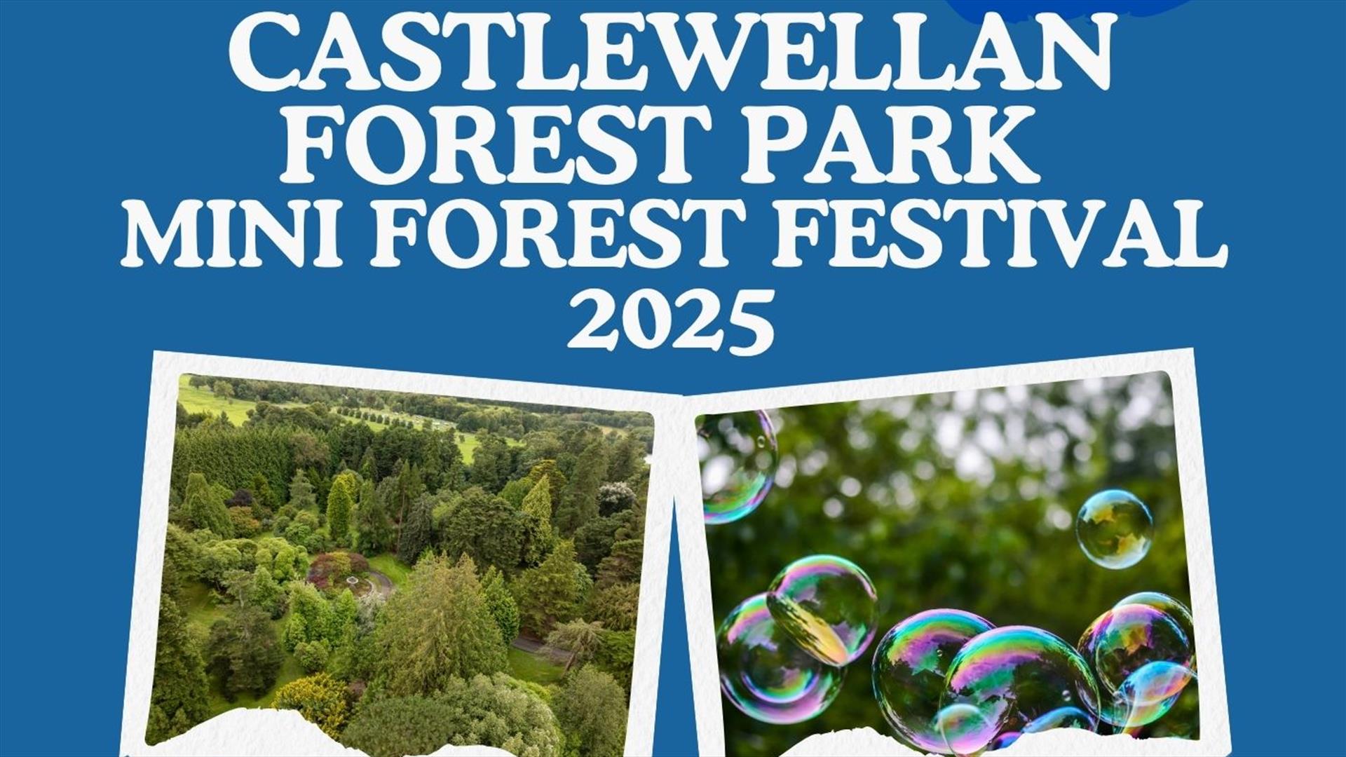 Mini Forest Festival