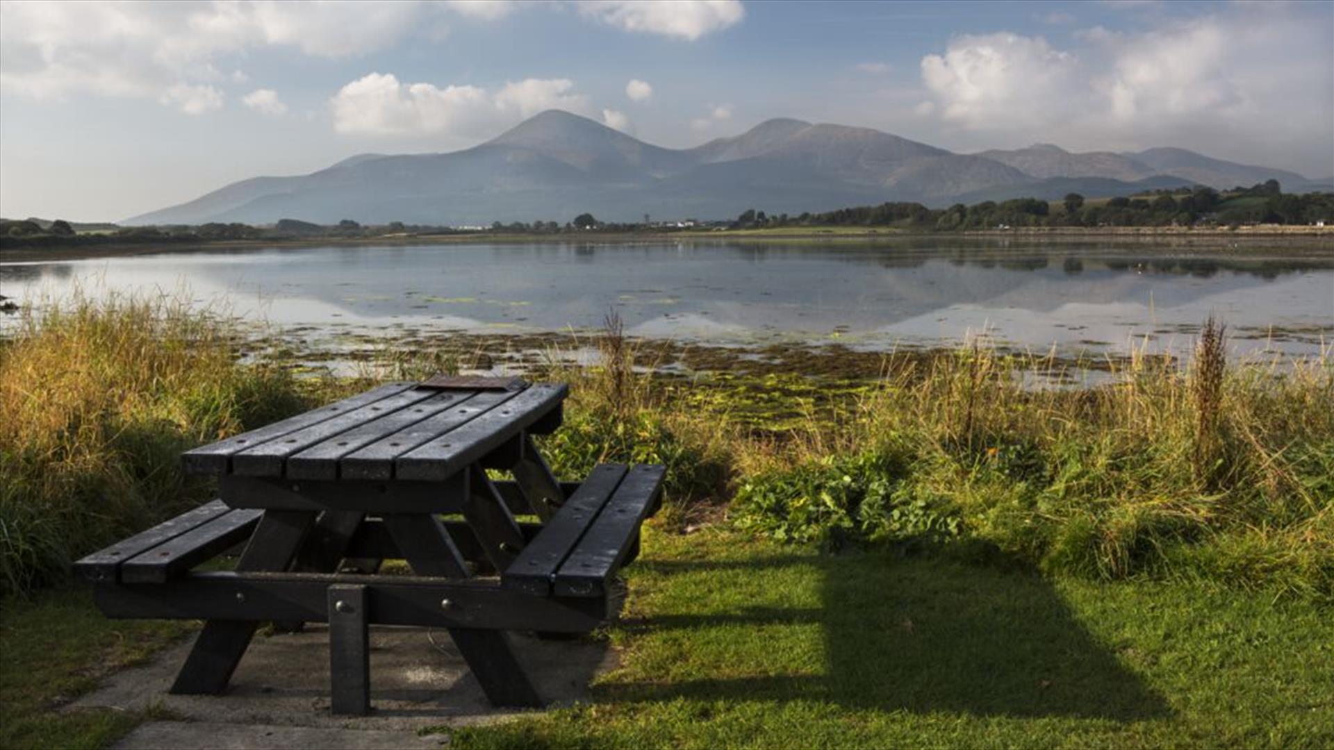 Mourne Gullion Strangford Geopark