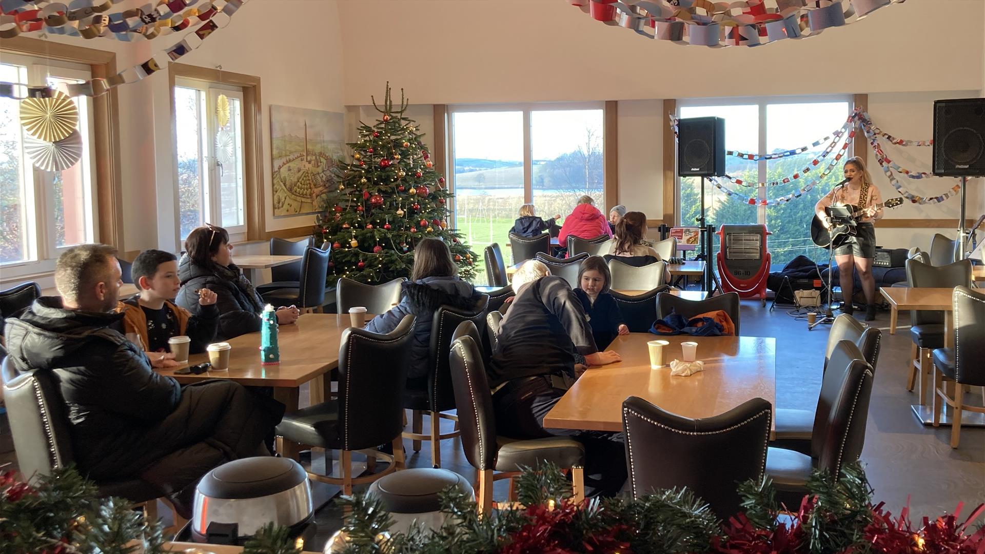 Debs Fitzsimons Performs some Christmas classics at Down County Museum. In the background are a Christmas tree and paper chains