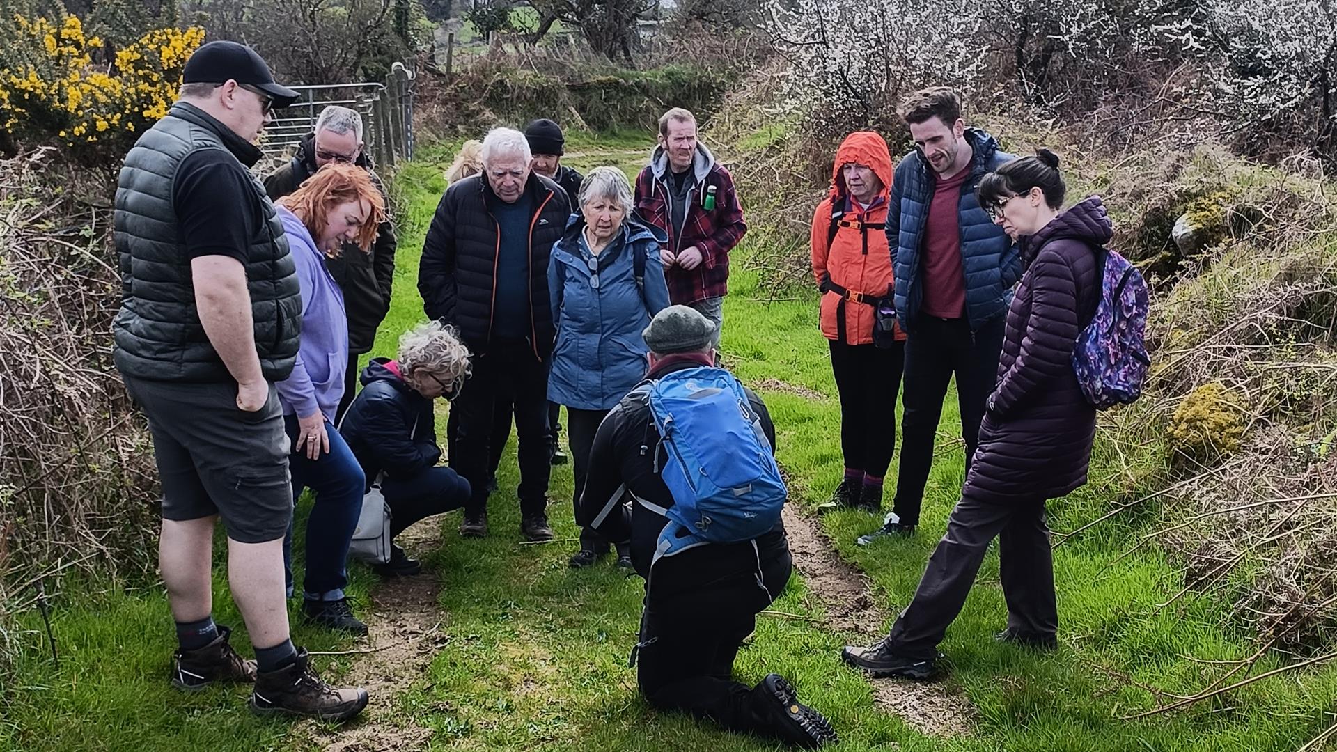 Foraged Food Slieve Gullion