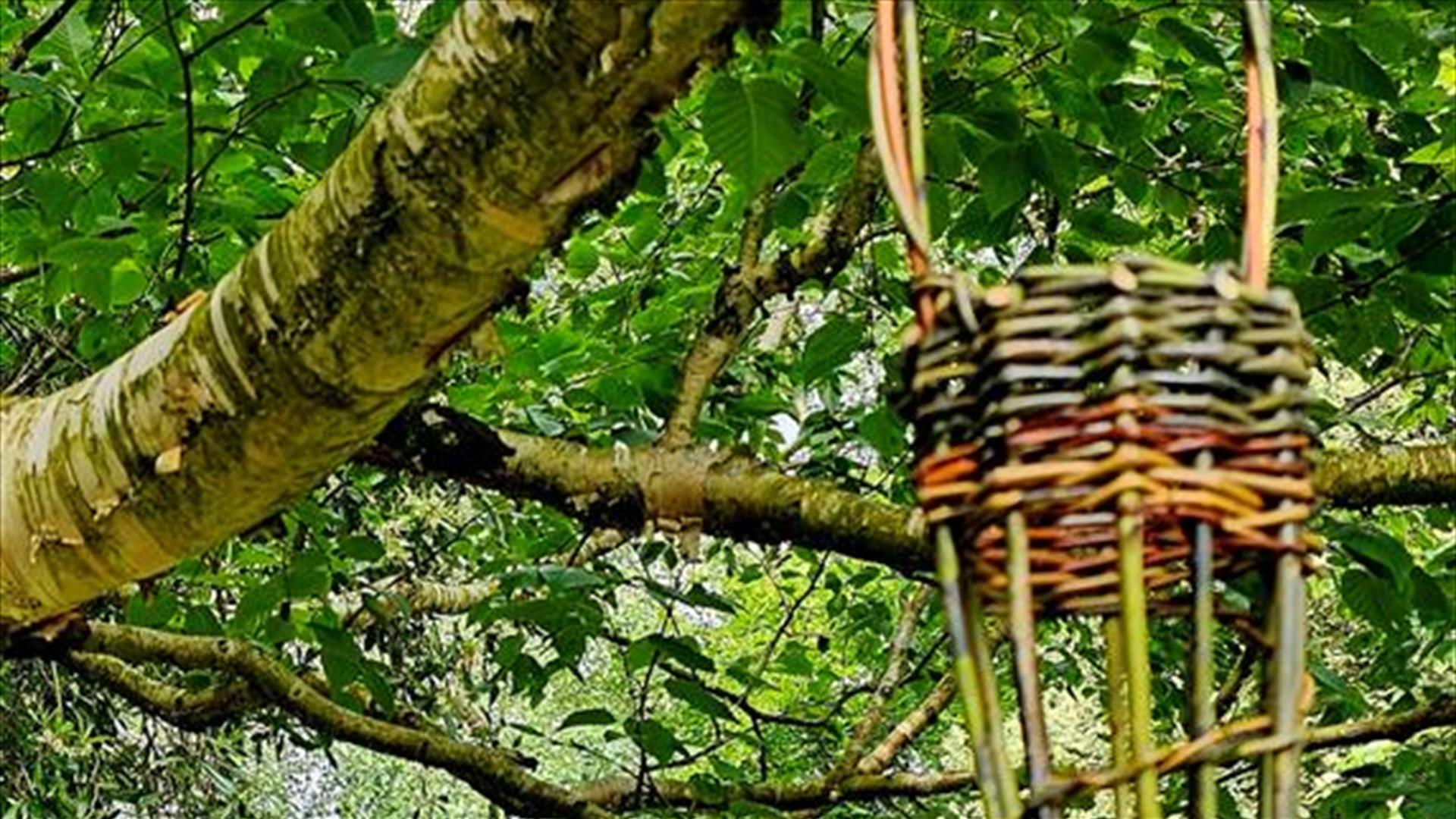 Willow Birdfeeder