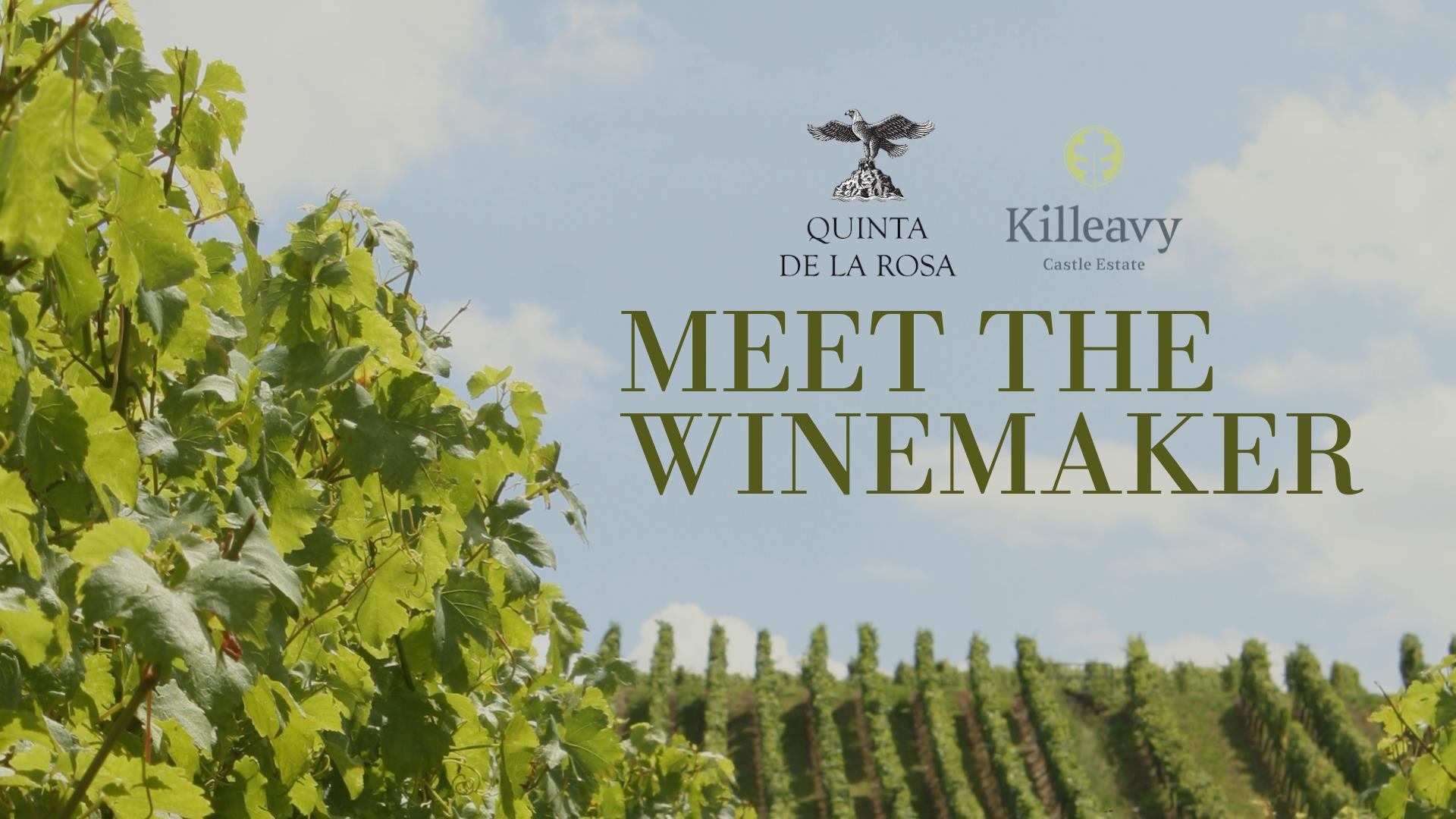 Meet the Winemaker