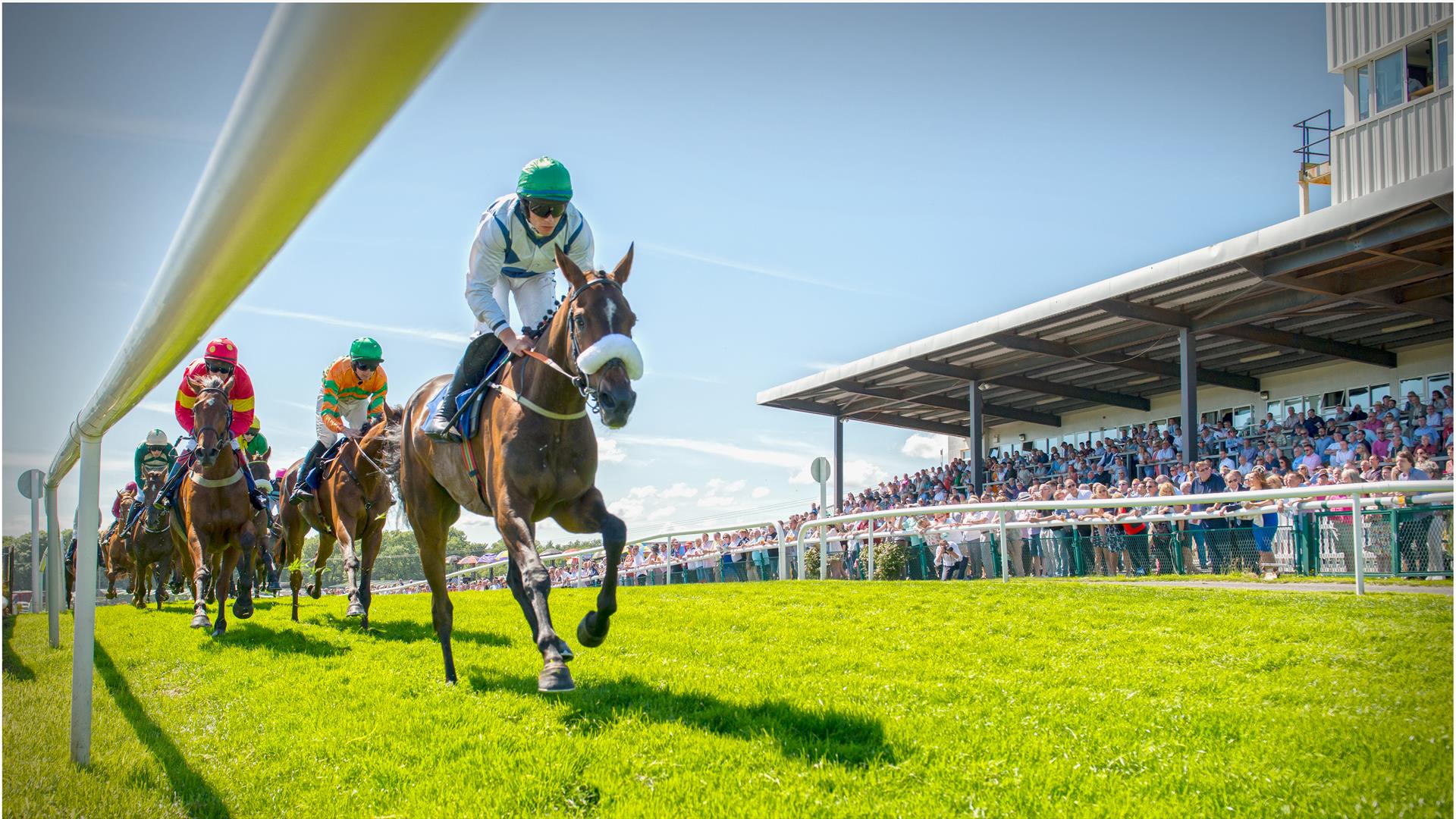 Downpatrick Racecourse Fixtures