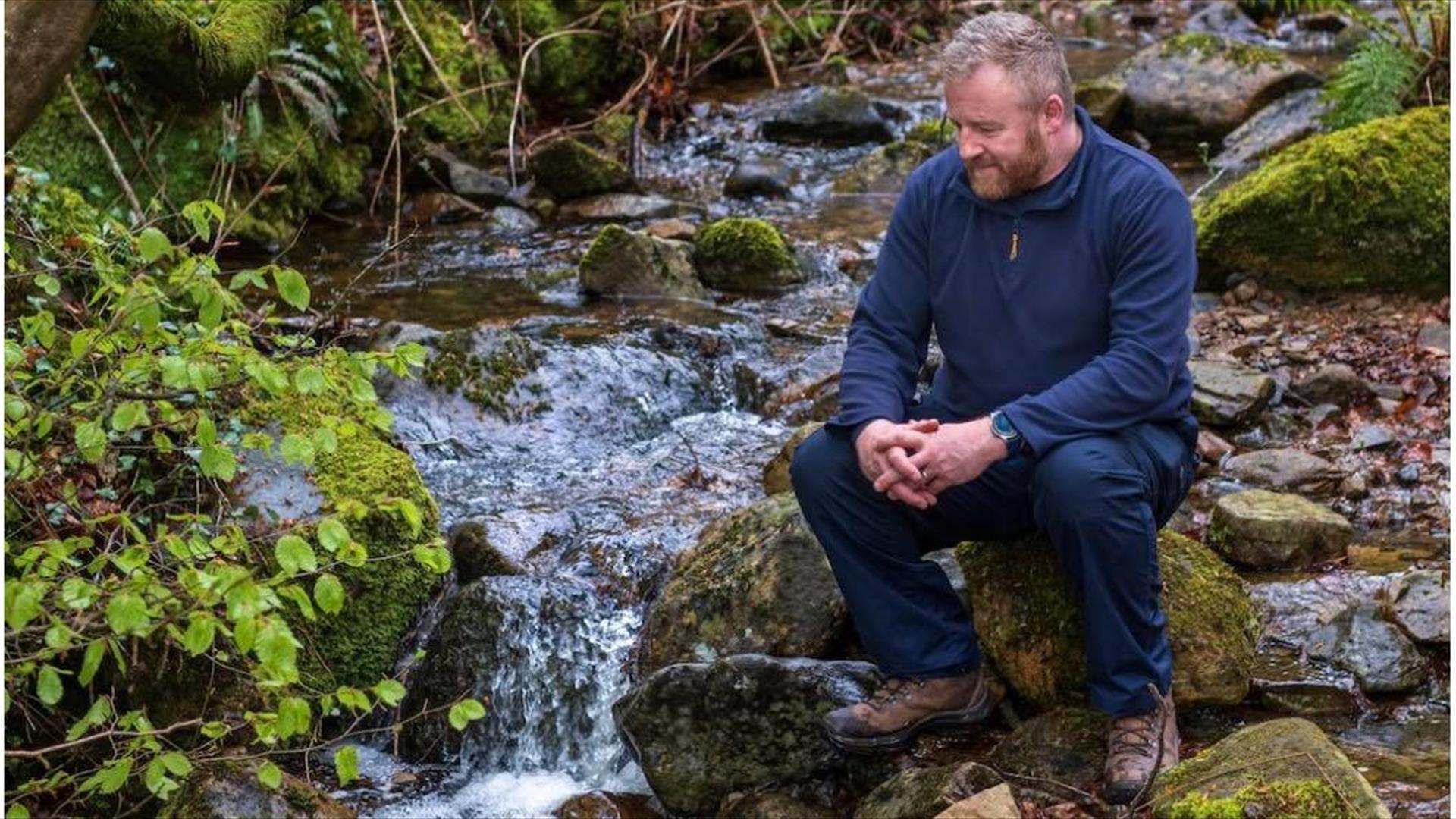 Forest bathing