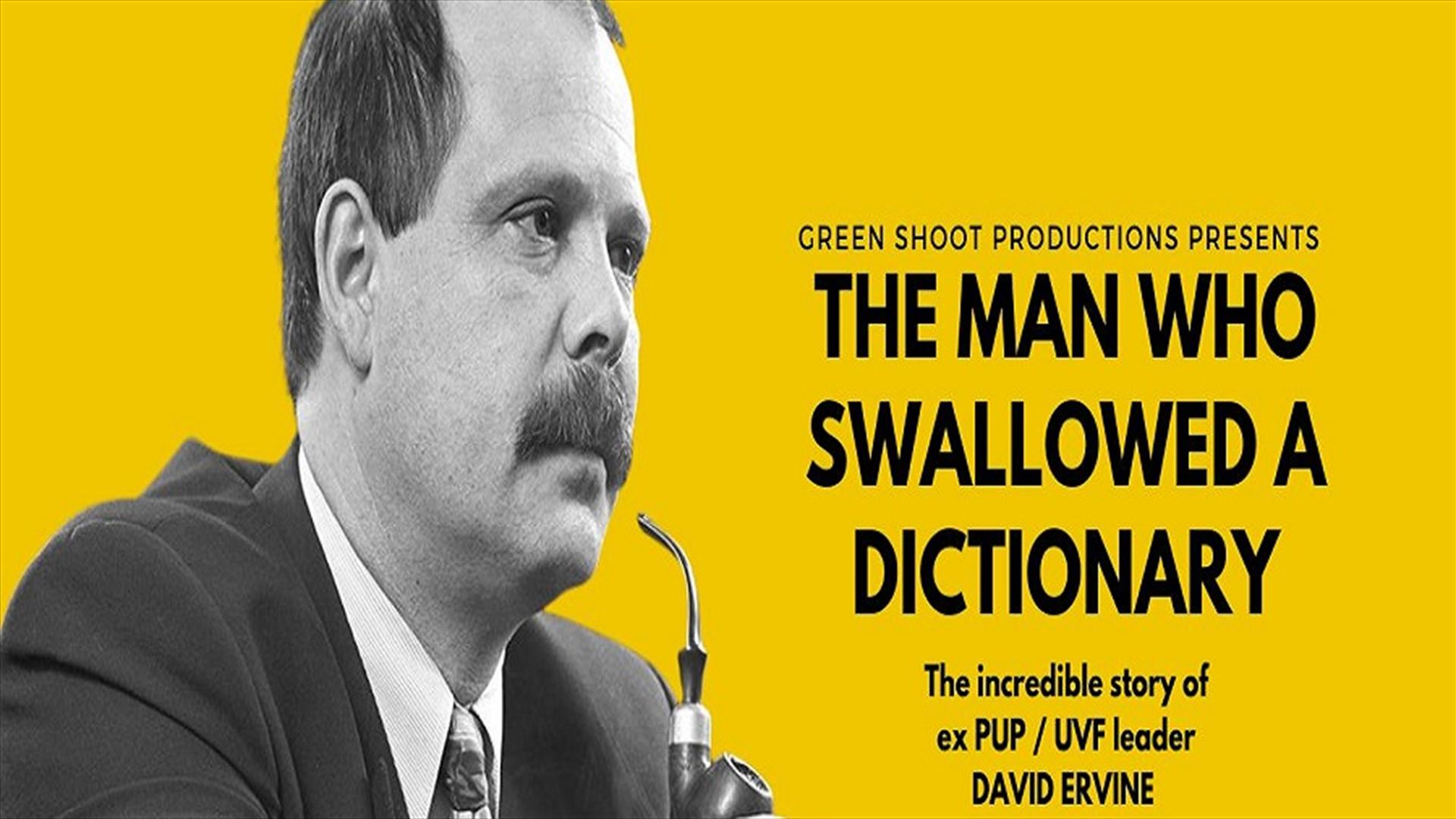 David Irvine, Down Arts Centre