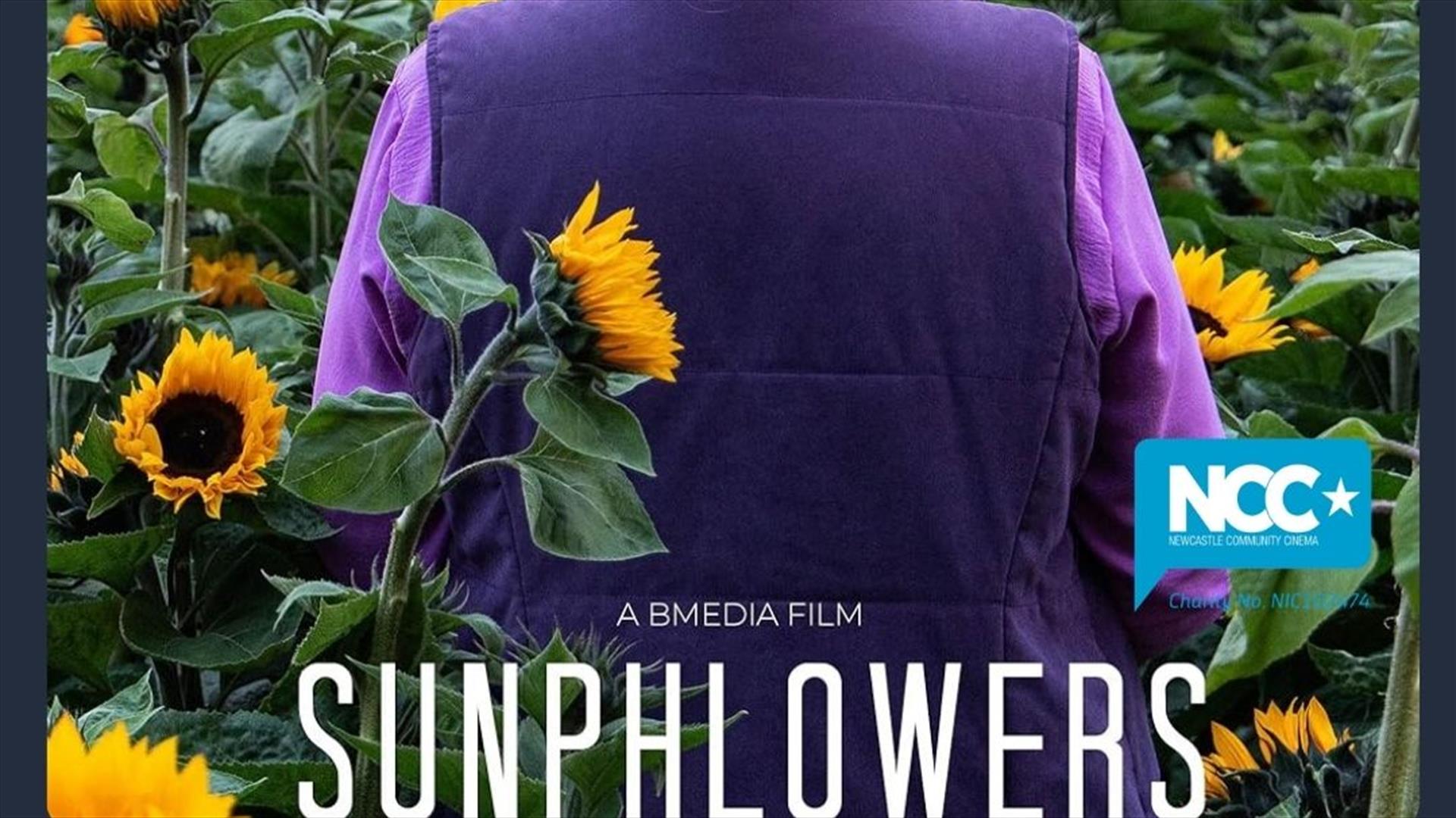 Sunphlowers