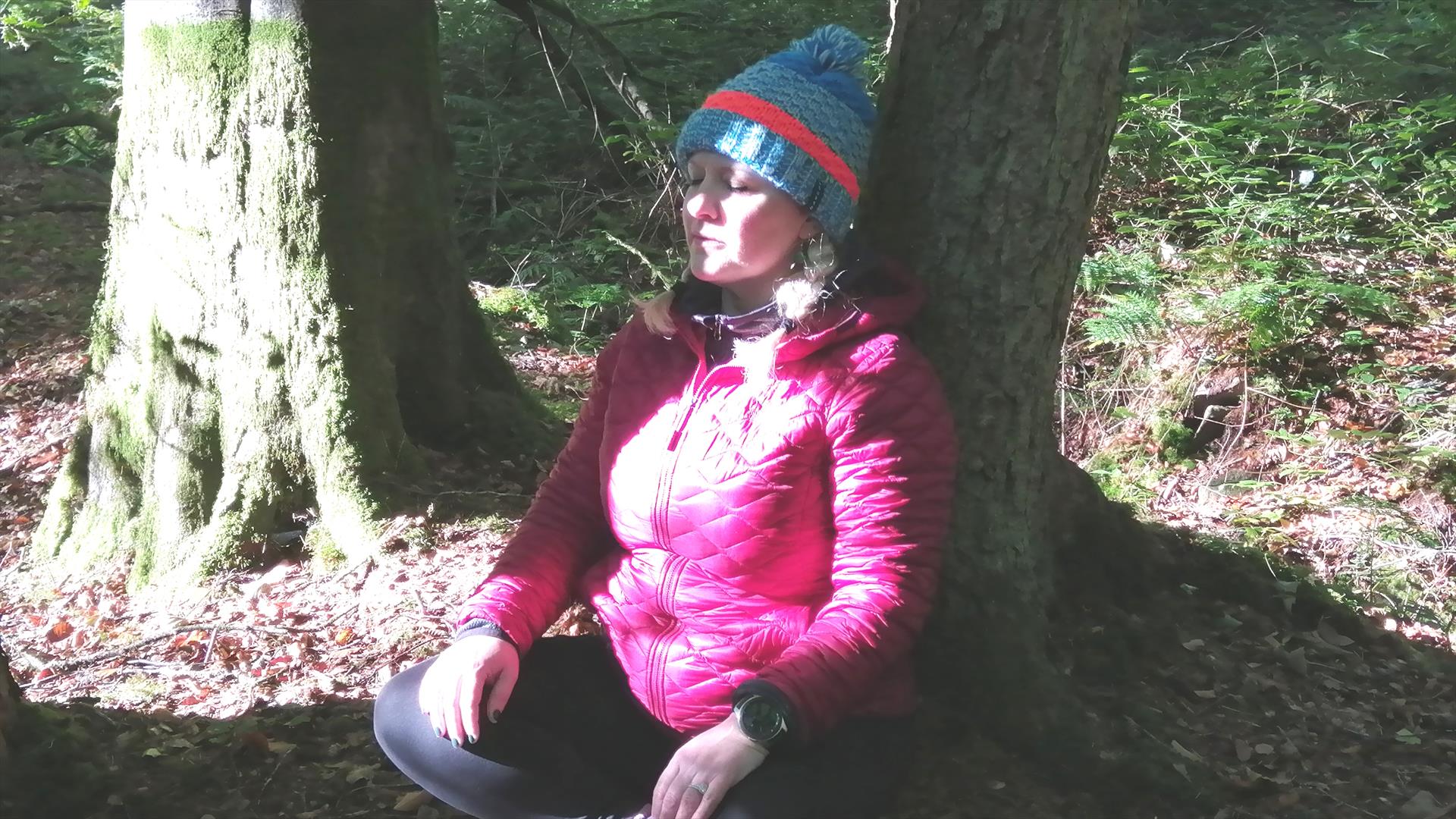 Forest bathing