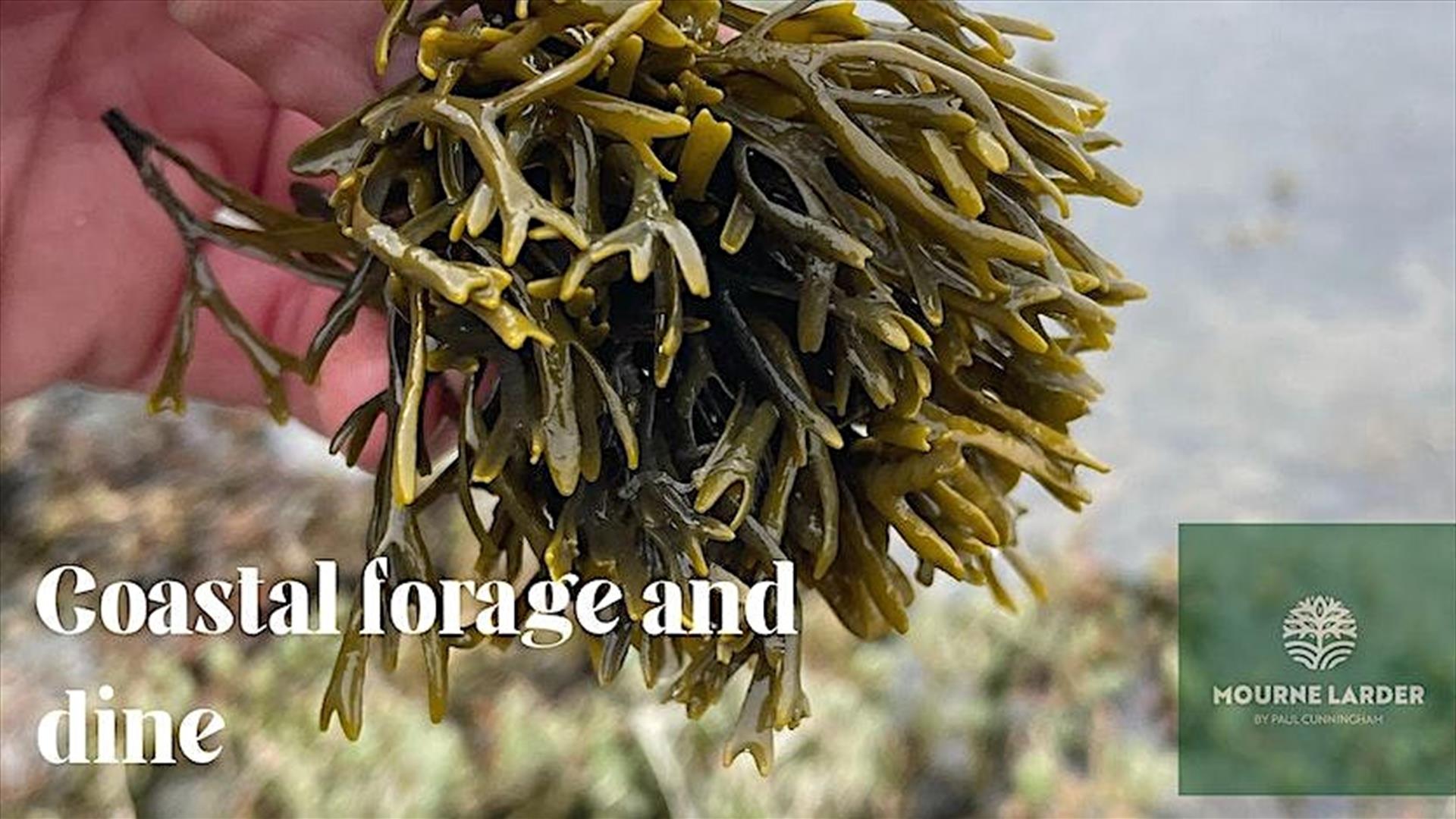 Coastal Forage and Dine