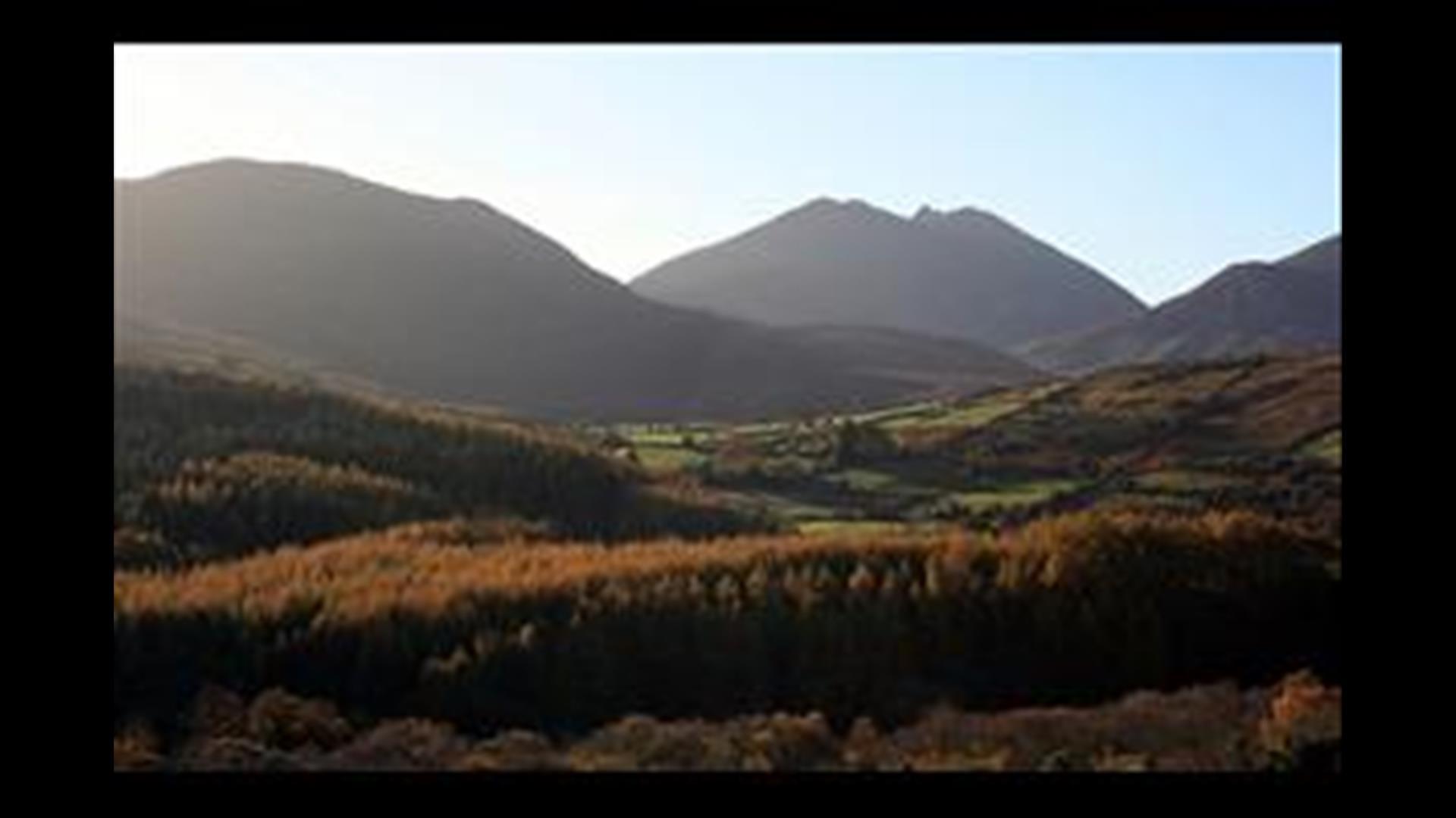 Tory Bush Cottages- No.6