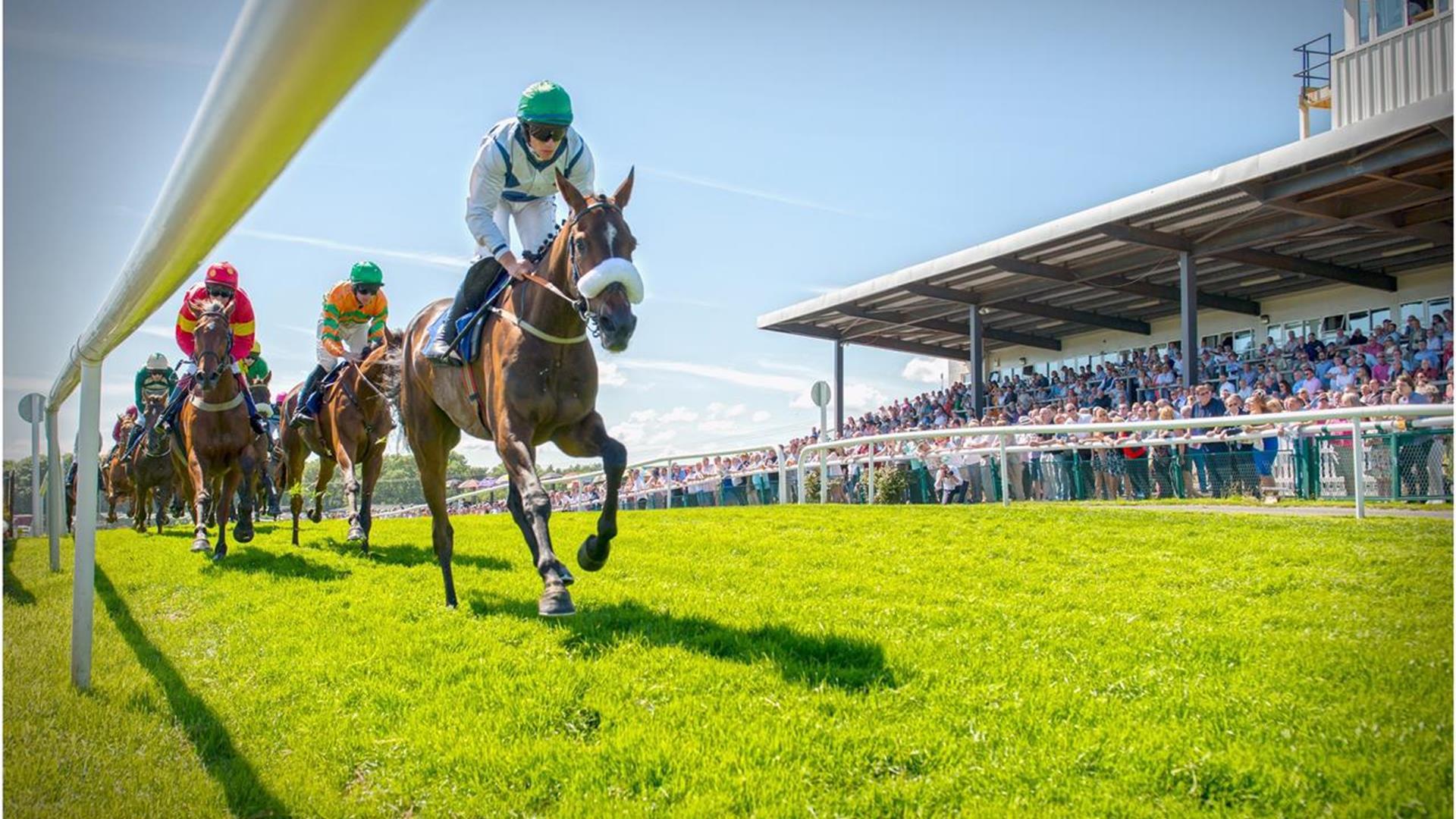 Horses approaching the finish line at Downpatrick Race Course with spectators in the grand stand.