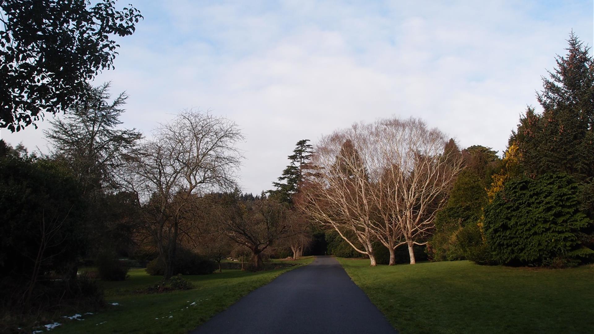 Castlewellan Forest Park - Annesley Garden Walk