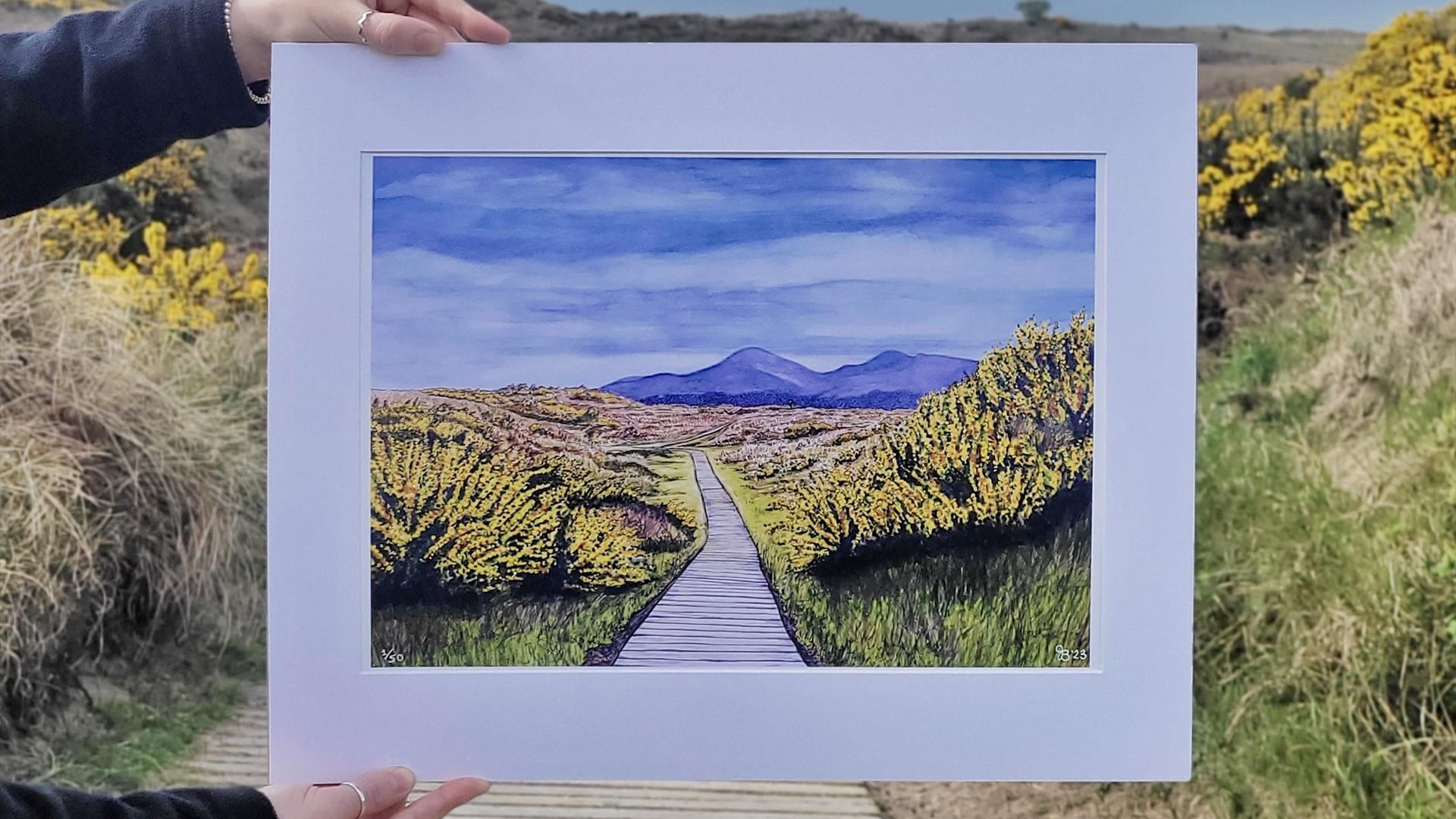 Painting of Mourne mountains from Murlough Nature reserve, within image of Mourne Mountains from Murlough Nature Reserve