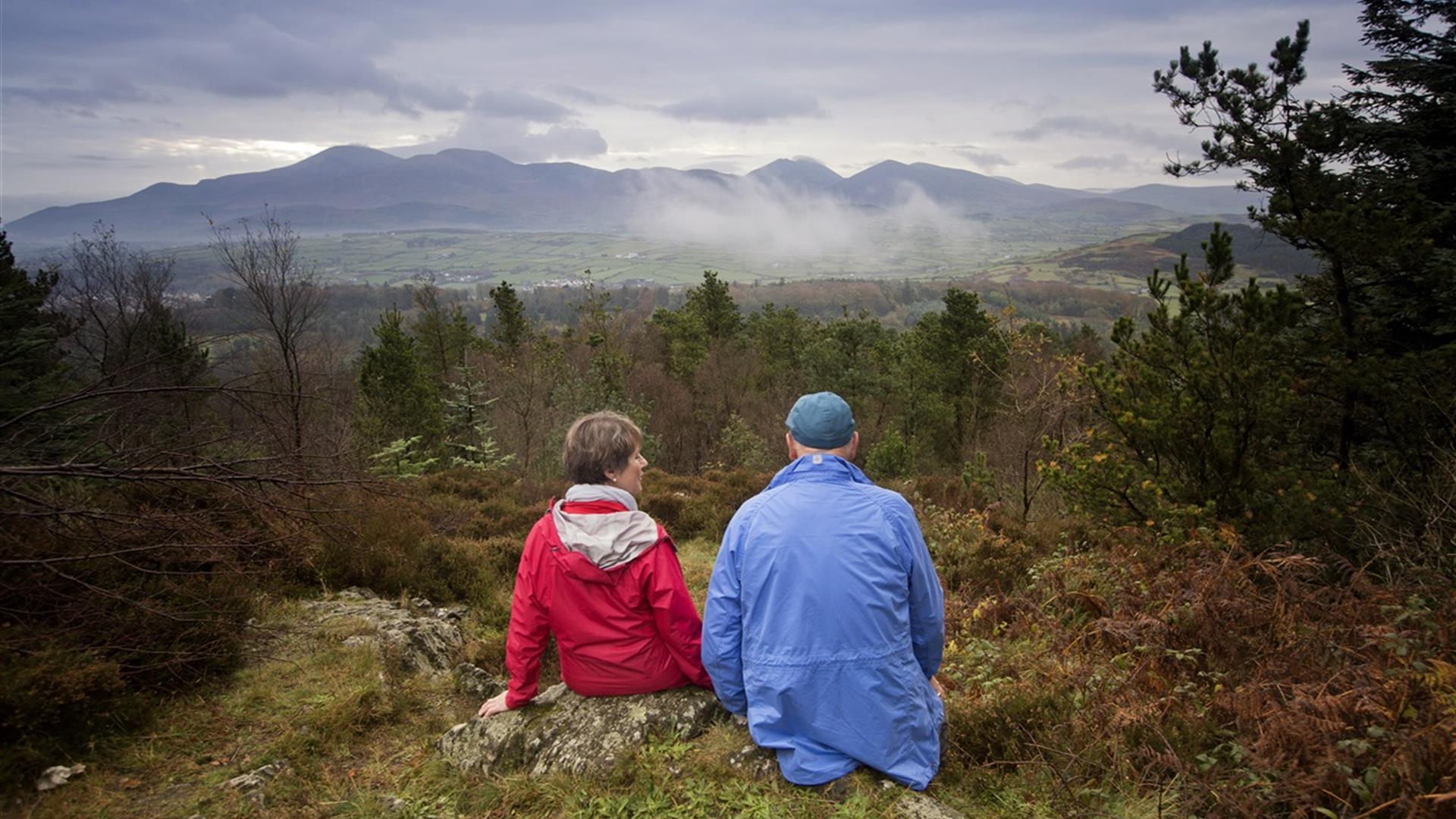 Castlewellan Forest Park - Slievenaslat Walk