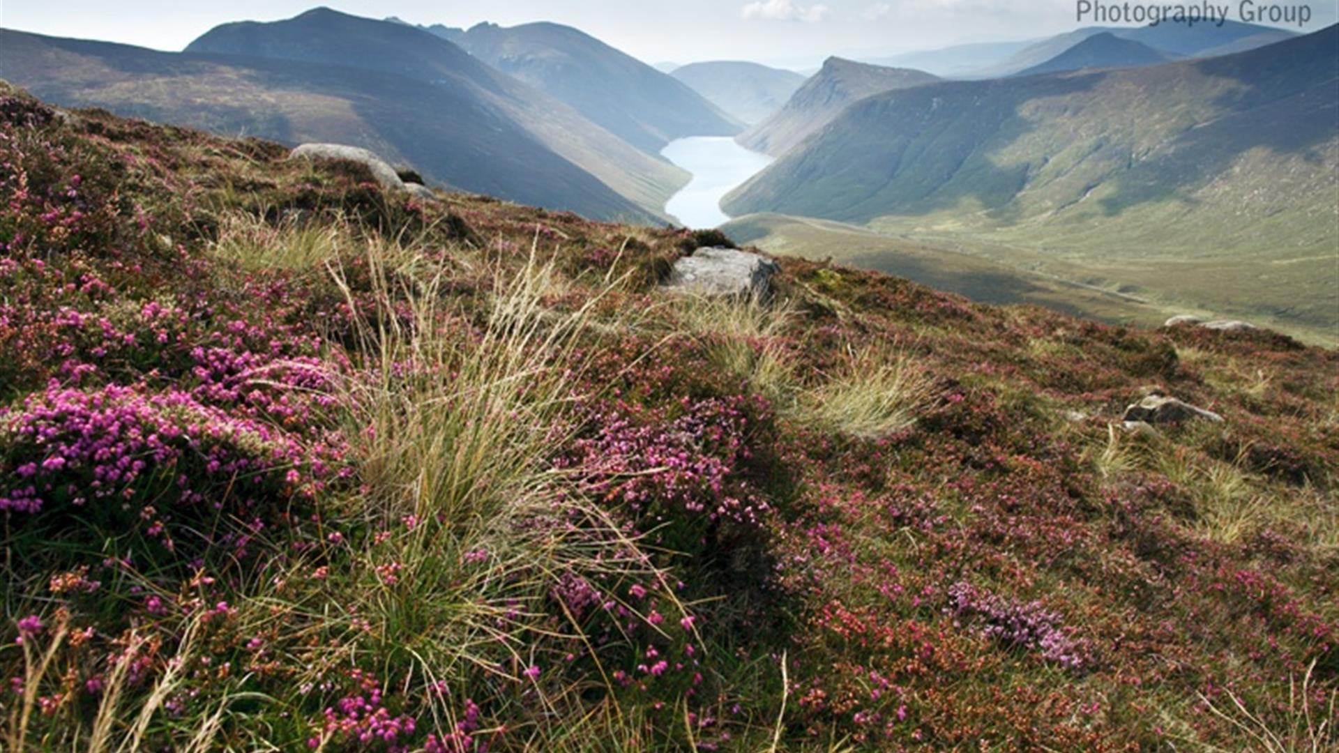 Central Mournes