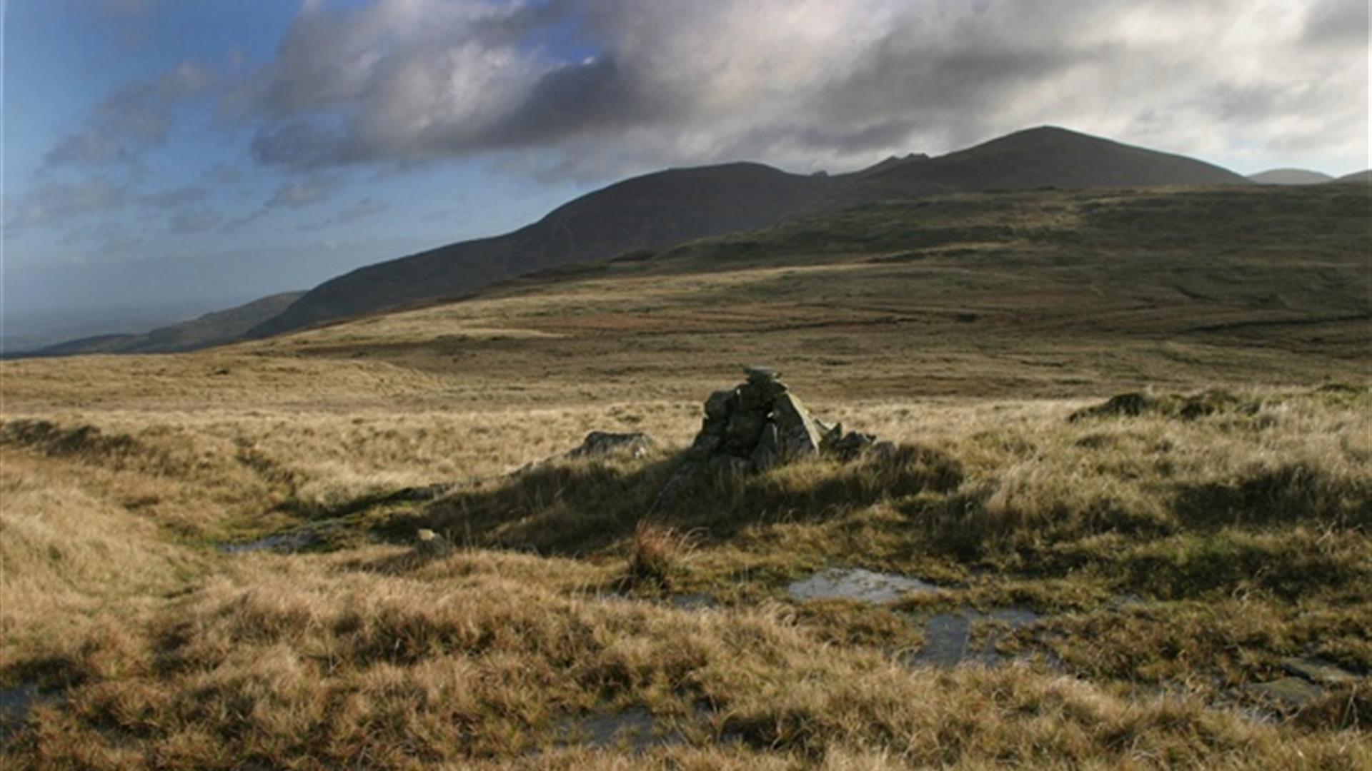 Mourne Way