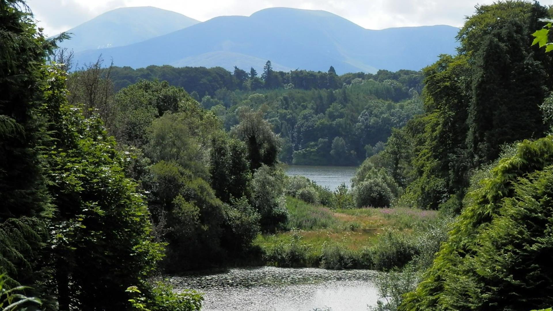 Castlewellan Forest Park - Cypress Pond Walk