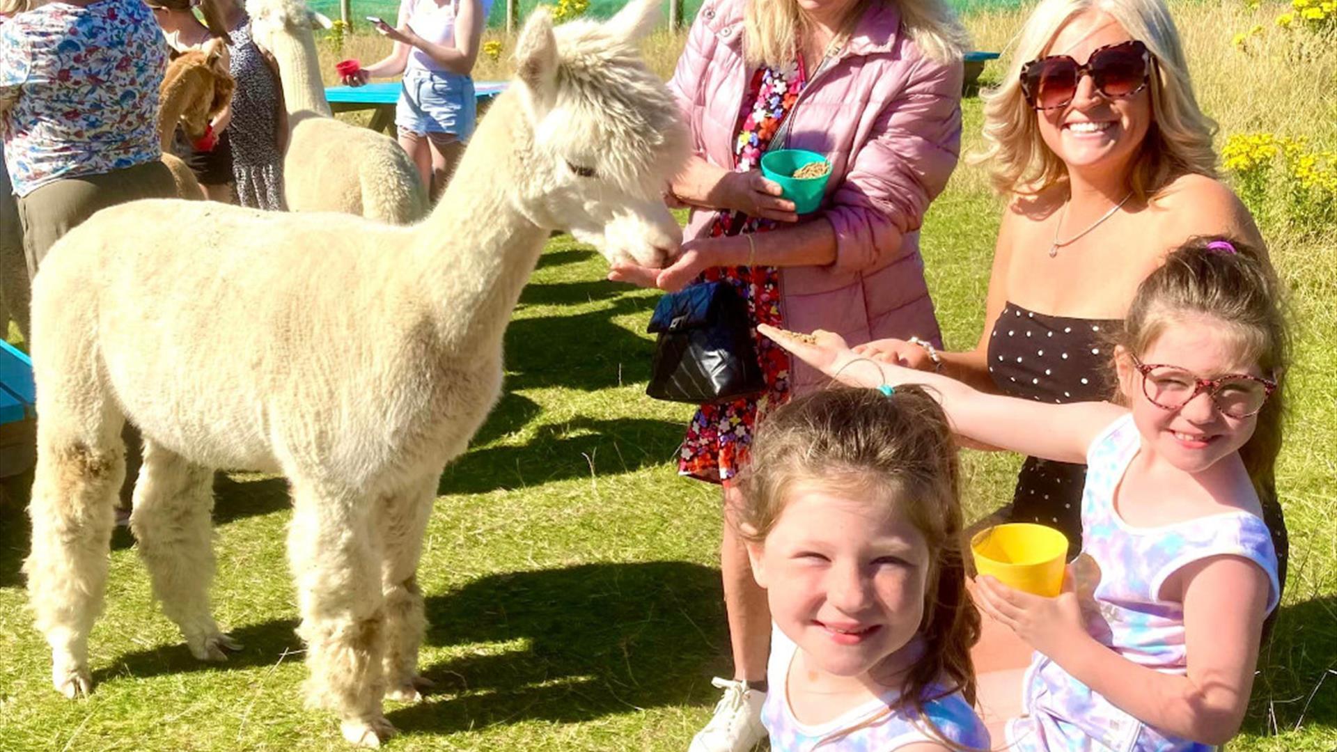 Ladies and children feeding Alpaca