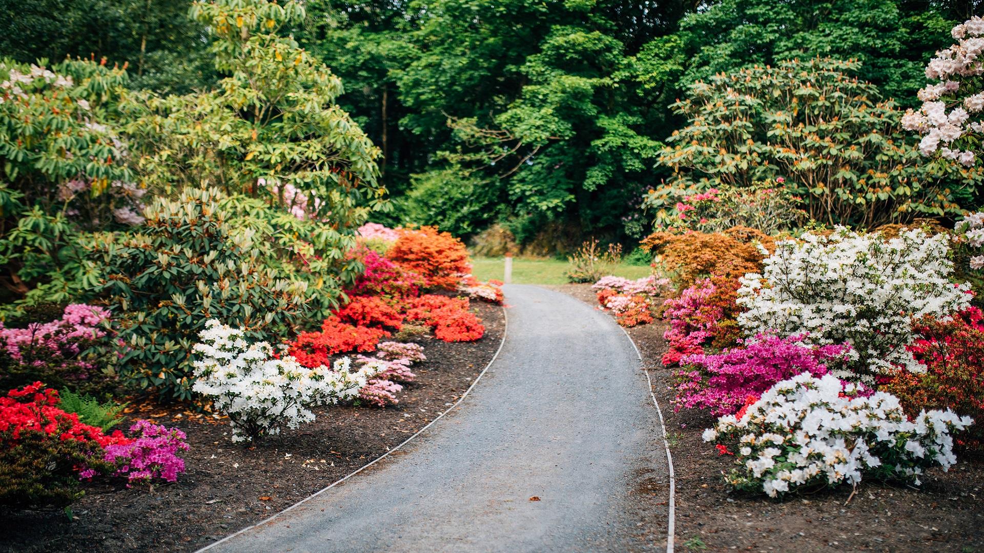 Ballynahinch In Bloom Walking Garden Tour