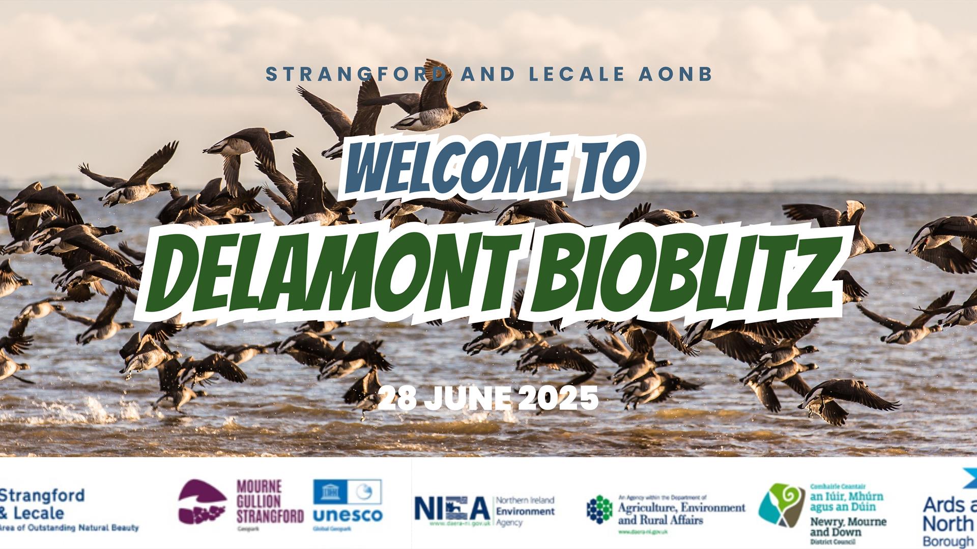 Delamont Bioblitz