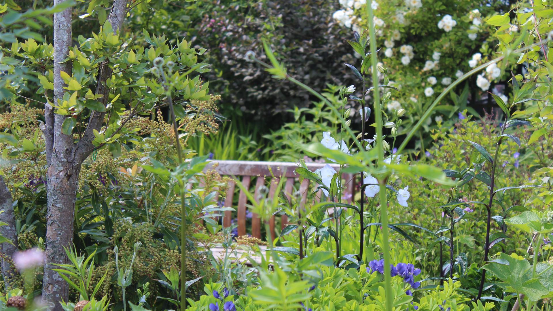 Beautiful greenery at 7 Mount Charles North Garden, with wooden bench to enjoy the surroundings.
