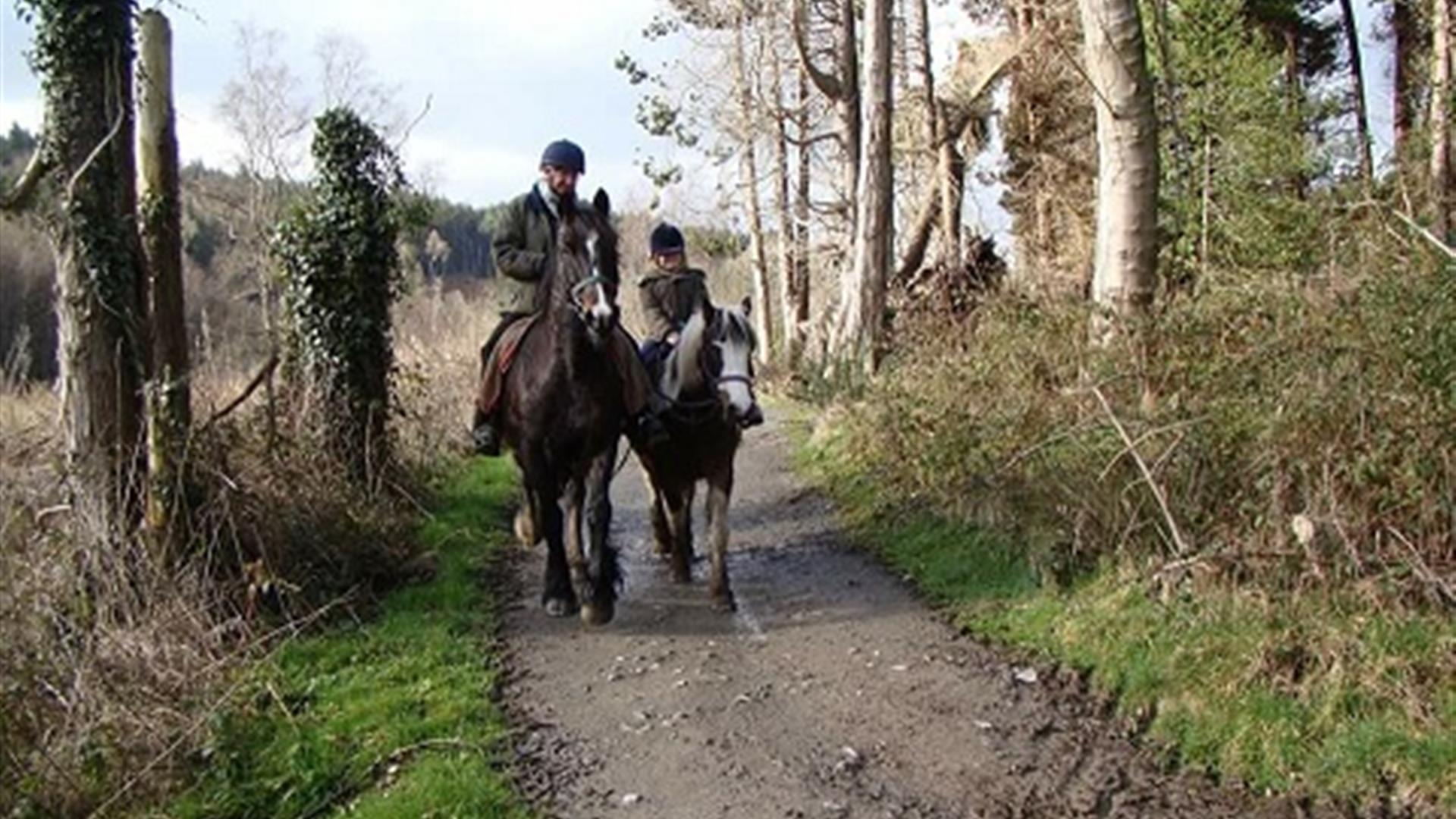 Mount Pleasant Trekking Centre