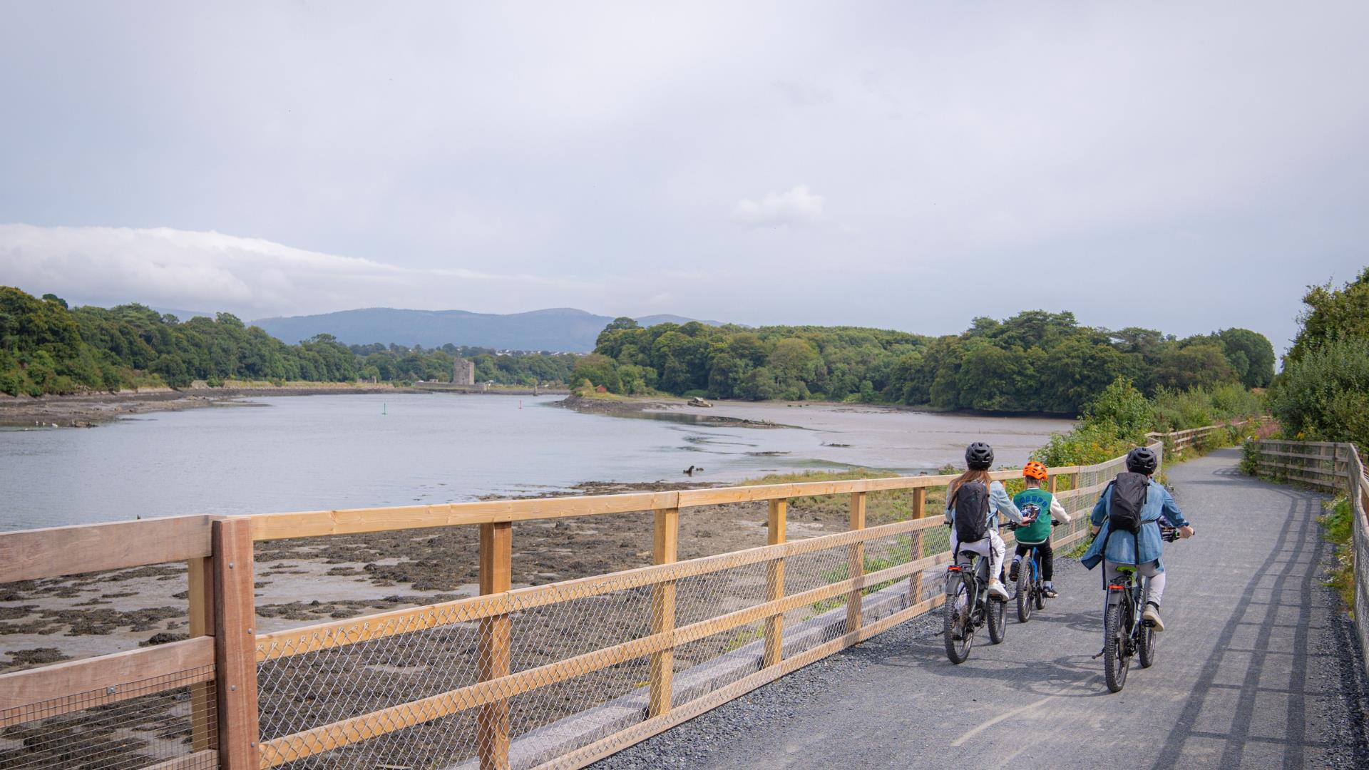 Family cycling along Carlingford Lough Greenway