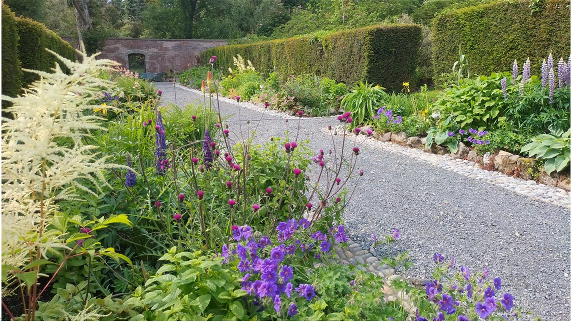 Castlewellan Arboretum and Annesley Garden EHOD 2025