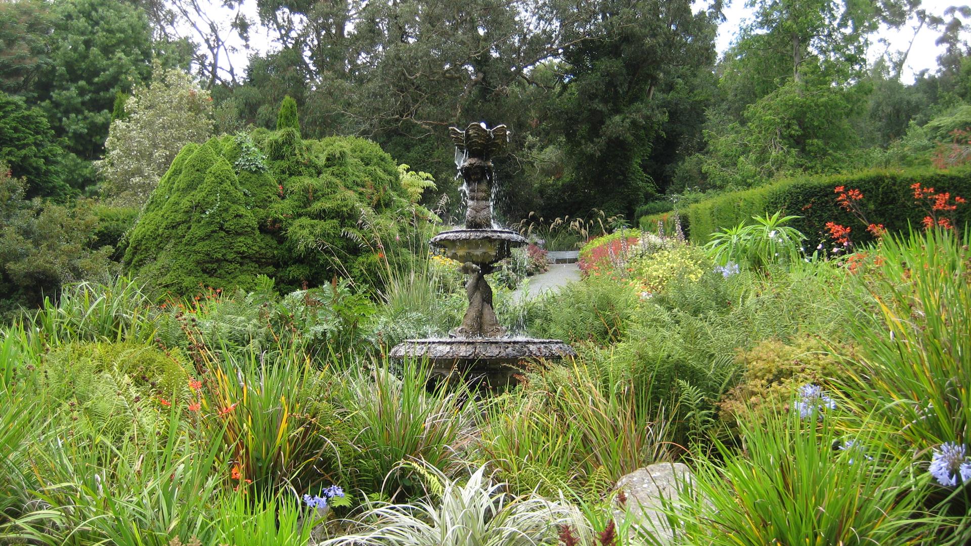 Castlewellan Arboretum